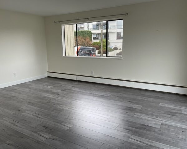 Newer Renovation 1 Bedroom Apartment