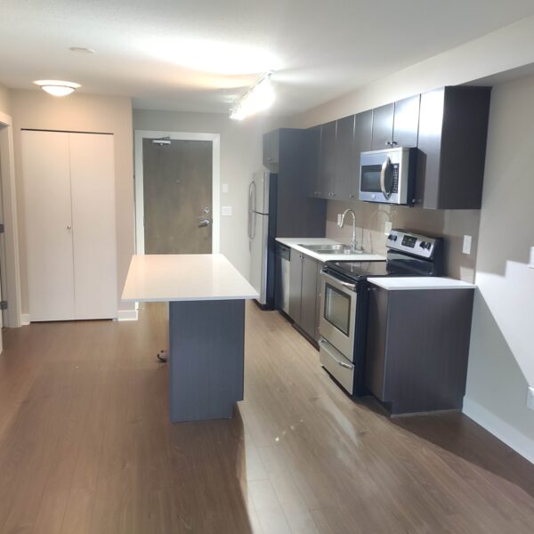 Large Spacious Studio at Mirra