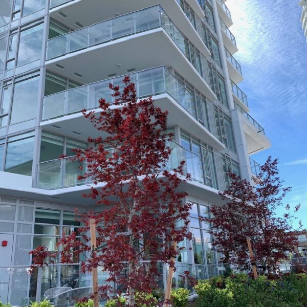 Azure Tower Luxury Condo in the Heart of Edmonds