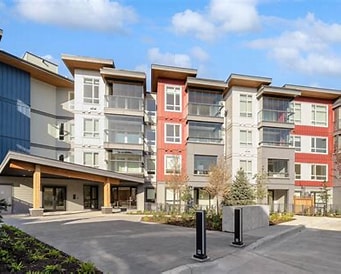 Brand New One Bedroom in Convenient Newton