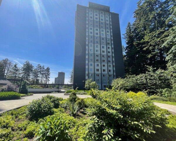 Updated and Bright Corner Unit Two Bedroom in Convenient Lougheed Area