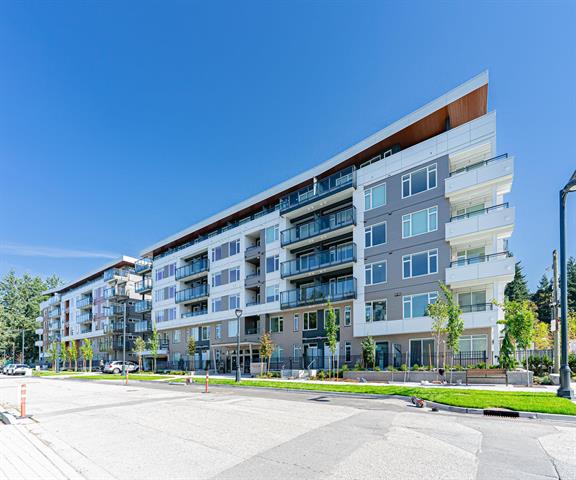 Bright and Brand New One Bedroom in Surrey Central