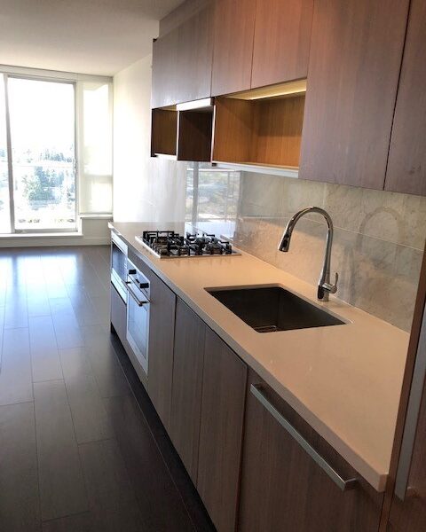 Park Avenue. One Bedroom Close to King George Skytrain Station