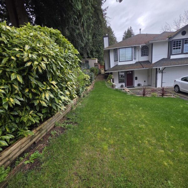 Ground Level Two Bedroom Basement Suite in Langley