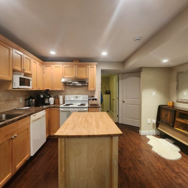 Beautiful One Bedroom Suite in Cloverdale