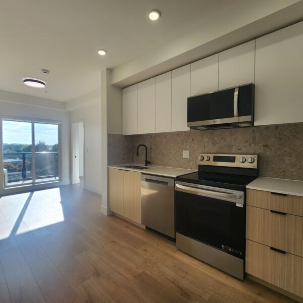 Solomon. Brand New Two Bedroom Condo in Langley - Pet Friendly